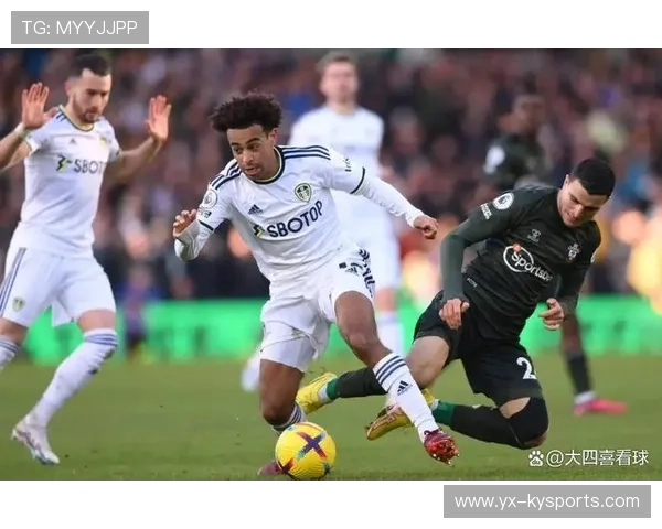 布莱顿进攻端火力全开，海鸥军团欲再创佳绩，布莱顿引援