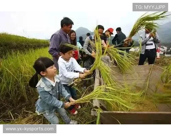 多地支持大学生在家乡创办农趣运动与亲子营项目 多地支持大学生在家乡创办农趣运动与亲子营项目